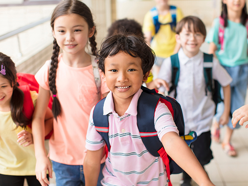 Find out more about the Toxic Free Schools project