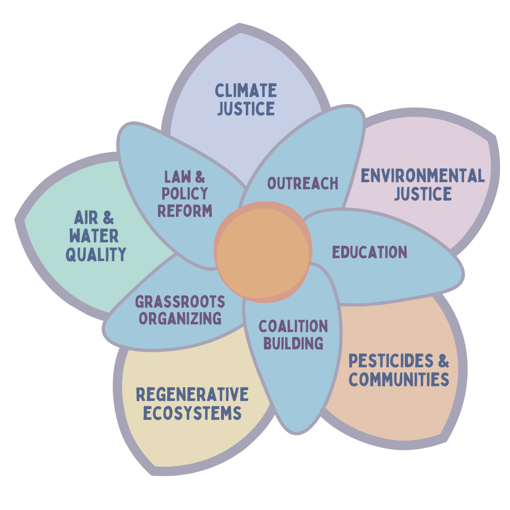 Flower Model of Beyond Toxics' work philosophy.