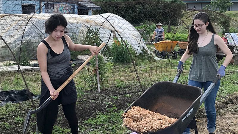 Two interns participating in a work party with a shovel and wheelbarrow